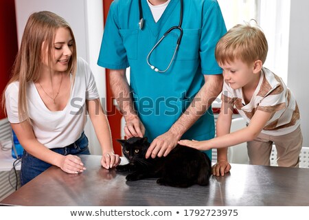 Сток-фото: Veterinarian Holding And Calming A Cat At Clinic