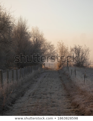 Foto stock: Thick Fog On A Country Lane
