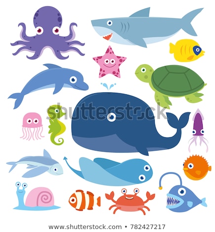 Stok fotoğraf: Sea Creatures