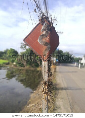 Stock fotó: Weathered Mandatory Traffic Direction Sign