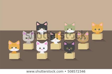 Сток-фото: Cat In Box Set Pet In Cardboard Box Vector Illustration