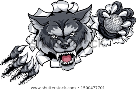 Сток-фото: Wolf Golf Mascot Breaking Background