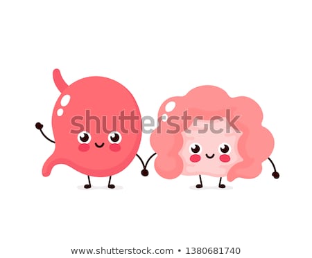 Stock fotó: Stomach And Colon Illustration