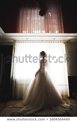 Stockfoto: Beauty Portrait Of Bride Wearing Fashion Wedding Dress With Feathers With Luxury Delight Make Up