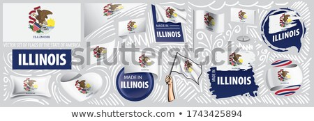 Stock photo: Vector Set Of Flags Of The American State Of Illinois In Different Designs