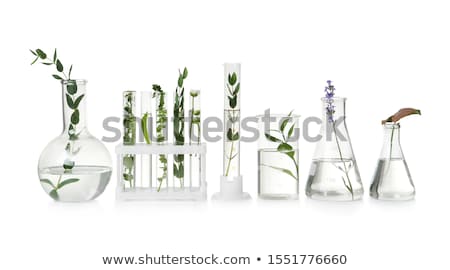 Foto stock: Floral Science In Laboratory