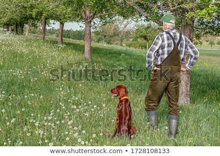 Stok fotoğraf: Hunter With His Dog Hunting