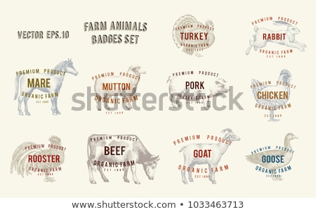 Stock fotó: Farm Animals Food Labels