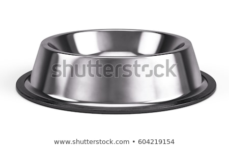 Stock photo: Metal Pet Bowl