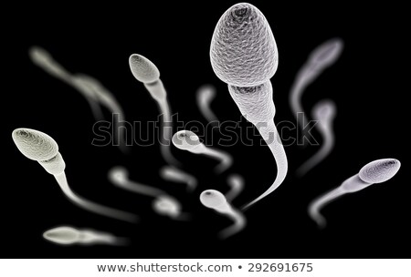 Сток-фото: Virus Infected Sperm Cell