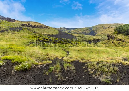 ストックフォト: Sparse Vegetation At Volcanic Stones