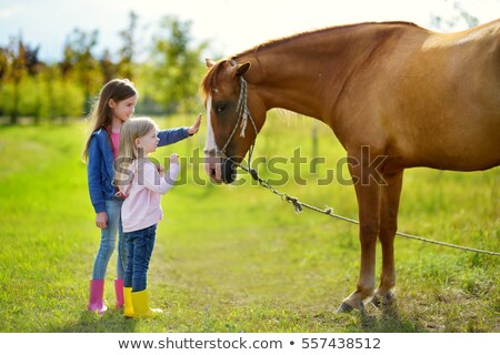 ストックフォト: Girl Stroking A Pony