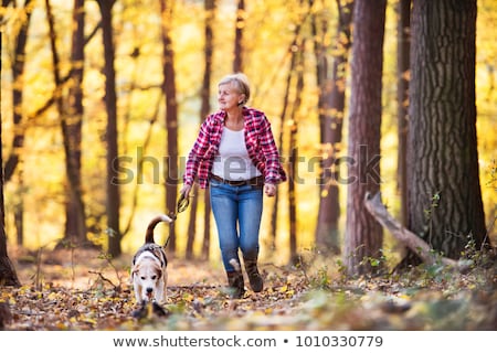 Stock photo: Woman Walking And Hiking In Autumn Forest