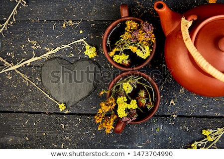 Stockfoto: Cup Of Herbal Tea - Tutsan Sagebrush Oregano Helichrysum Lavender
