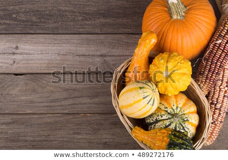 Foto stock: Fall Harvest Decoration With Pumpkins Gourds And Indian Corn