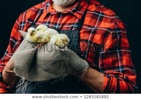 [[stock_photo]]: Close Up Of Man Sitting On Bird