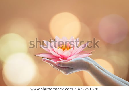 Сток-фото: Asian Woman Holding Lotus Flowers