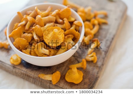 Zdjęcia stock: Yellow Mushrooms