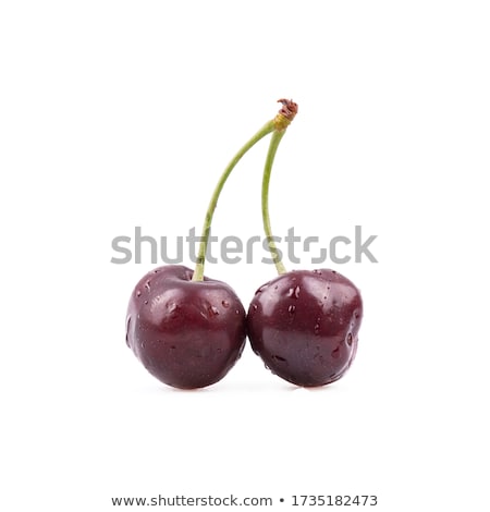 Stockfoto: Single Ripe Cherry With Water Drops On A White Background Two Cherries Isolated