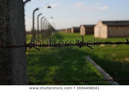 Stock fotó: Uschwitz · Birkenau · koncentrációs · tábor