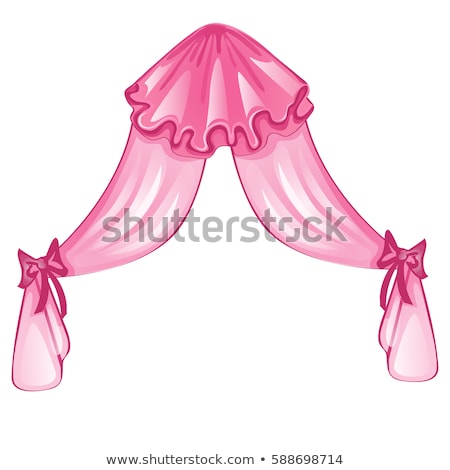 Window Pink Curtains Closeup Vector Illustration Foto stock © lady-luck