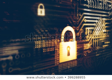 Stock fotó: Hacker In Digital Security Concept