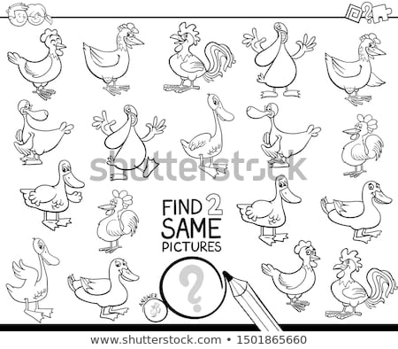 Stock fotó: Find Two Same Farm Animals Coloring Book