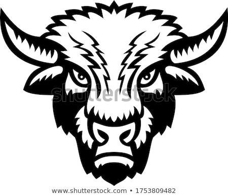 ストックフォト: Bison Or American Buffalo Head Front View Sports Mascot Black And White