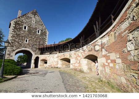 Foto stock: Buda Castle Budapest Hungary From Citadel