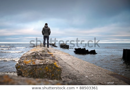 Stock photo: Seagull Looking Out To Sea