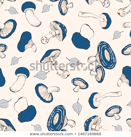 Stok fotoğraf: Toadstool Mushroom Seamless Pattern