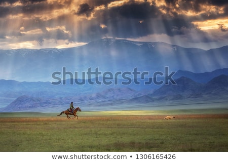 Foto stock: Horse Born At Sunset