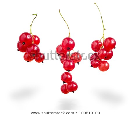 Stockfoto: Three Red Currants Isolated On White