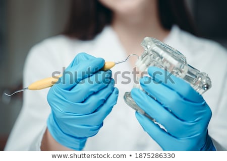 Stock photo: Dentist Holding Teeth Model Denture And Periodontal Probe