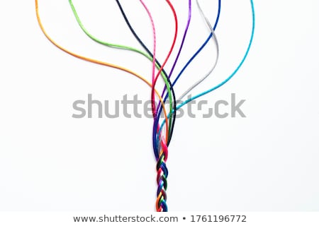 Stock photo: Plait