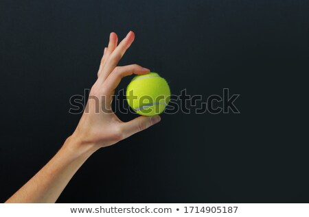 Stockfoto: Black Dog As Tennis Player