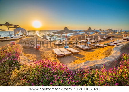 Stok fotoğraf: Marsa Alam In Egypt Sunset