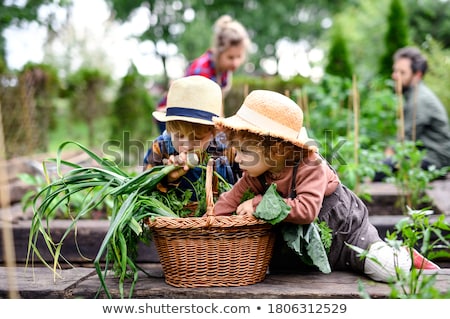 Сток-фото: Woman Working On Allotment With Child