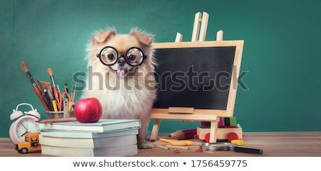 Foto stock: Dog At School