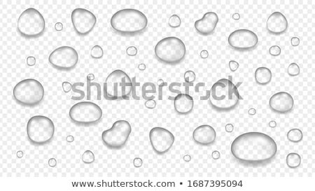 Foto stock: Vector Set Of Water Drops With Reflections And Shadow