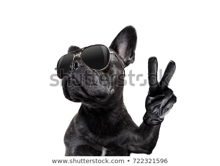 Foto d'archivio: Posing Dog With Sunglasses And Peace Fingers