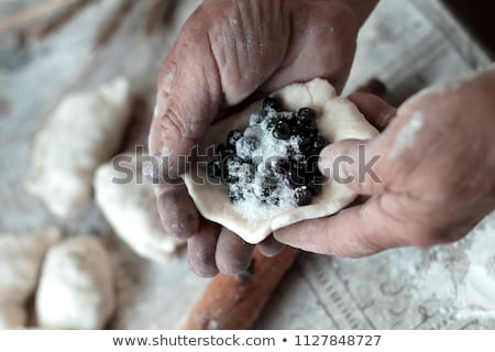 [[stock_photo]]: Blueberry Dumplings Pierogi