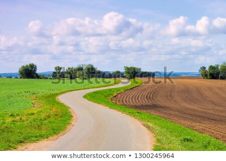 ストックフォト: A Bike Path On The Island Of Poel In Germany