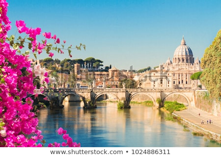 Stock photo: St Peters Cathedral Over Bridge