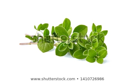 Stockfoto: Regano