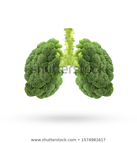 Foto stock: Human Lungs Organ As A Medical Symbol