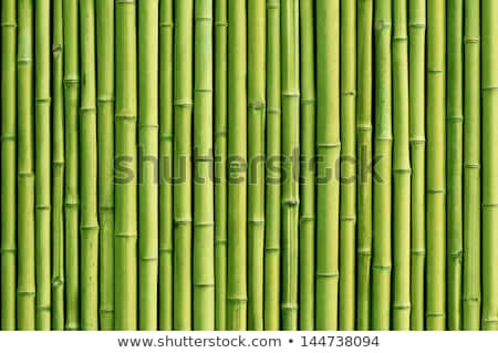 Zdjęcia stock: Grunge Bamboo Background