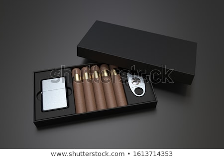 Foto d'archivio: Cigar And Lighter