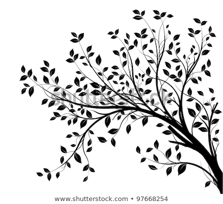 Stockfoto: Black Silhouette Branch Tree With Leafs