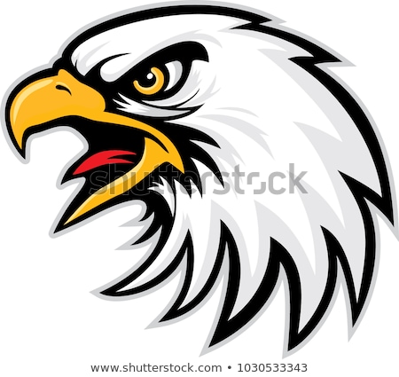 Stockfoto: Illustration Of Eagle Head